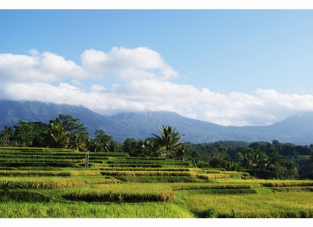 Ti Amo Bali Hotel Jatiluwih Cameră foto
